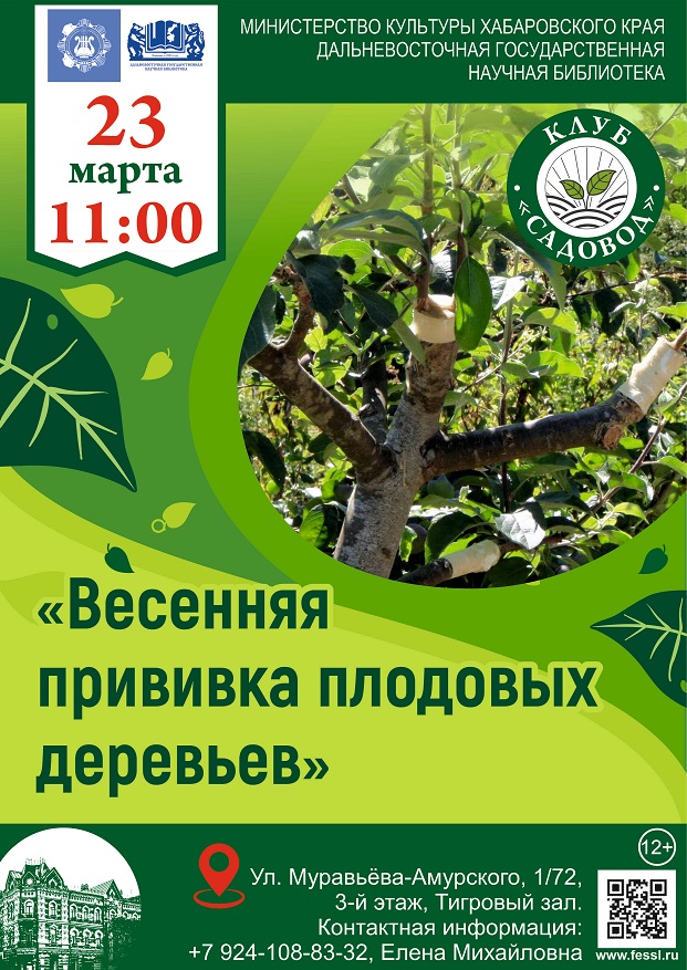 Клуб «Садовод» :Весенняя прививка плодовых деревьев.